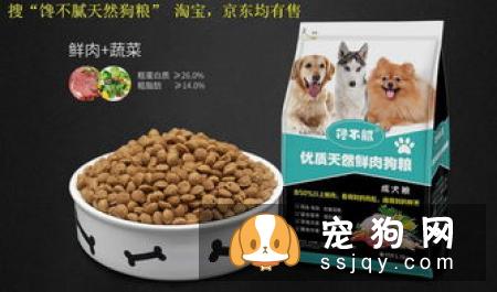 【狗狗毛发护理】怎么让拉布拉多毛发亮些？