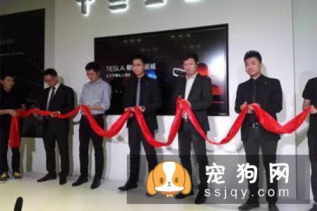 国外一网友带着狗狗上台表演，却吓坏了主持人，台下一片哗然