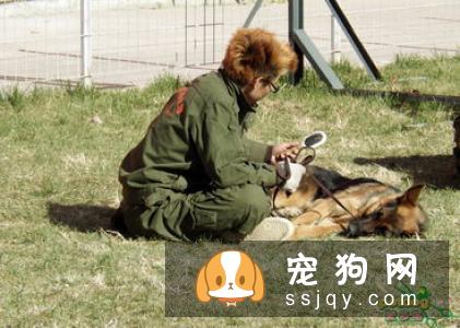 【狗狗训练】狗狗不听话可以打它吗？