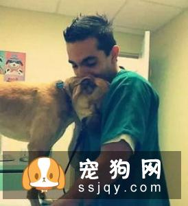 汪星人的胡须，你知道有何用处吗？
