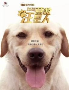 曼彻斯特梗好养吗?曼彻斯特梗图片|价格|训练