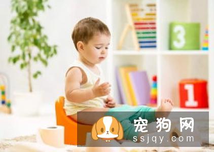 【狗大小便训练】怎么训练牛头梗大小便？