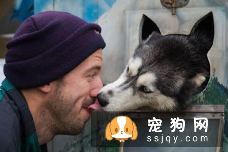 狗狗爱‘叫’背后的原因
