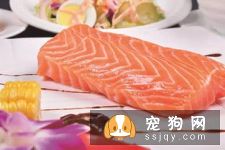 金毛能吃什么蔬菜 金毛吃什么蔬菜好