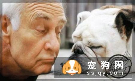 涨姿势——狗狗的恐手症！