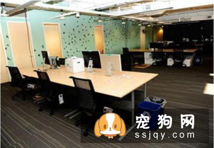 如何通过造型图片，发现美容技术问题？