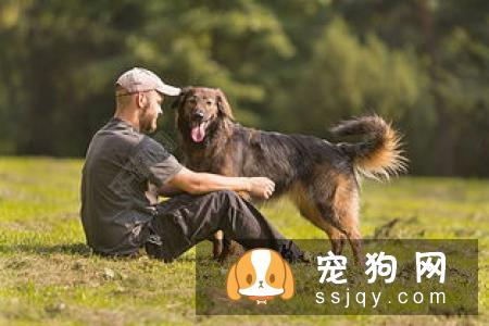 狗狗洗澡前，为什么要躲起来？