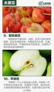 这三种家里常见的蔬菜和食物一定不要让小型狗狗误食