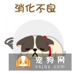 鸡骨头金毛能吃吗 金毛吃了鸡骨头的危害有哪些