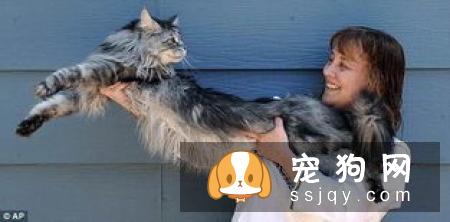 【腊肠不能吃什么食物】腊肠犬喜欢吃什么？