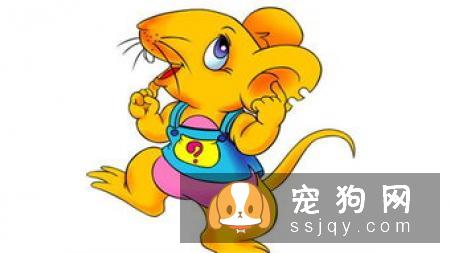 十条必知的狗狗生活习性