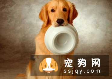 训狗叼东西难吗