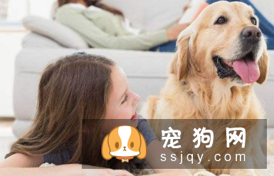 六招给你一个安静的狗狗