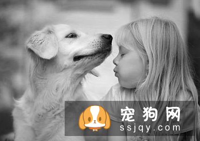 关于狗狗这6点常识,不知道真的白养了!